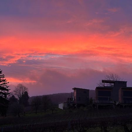 Cottages Antoinette Chigny-les-Roses Esterno foto