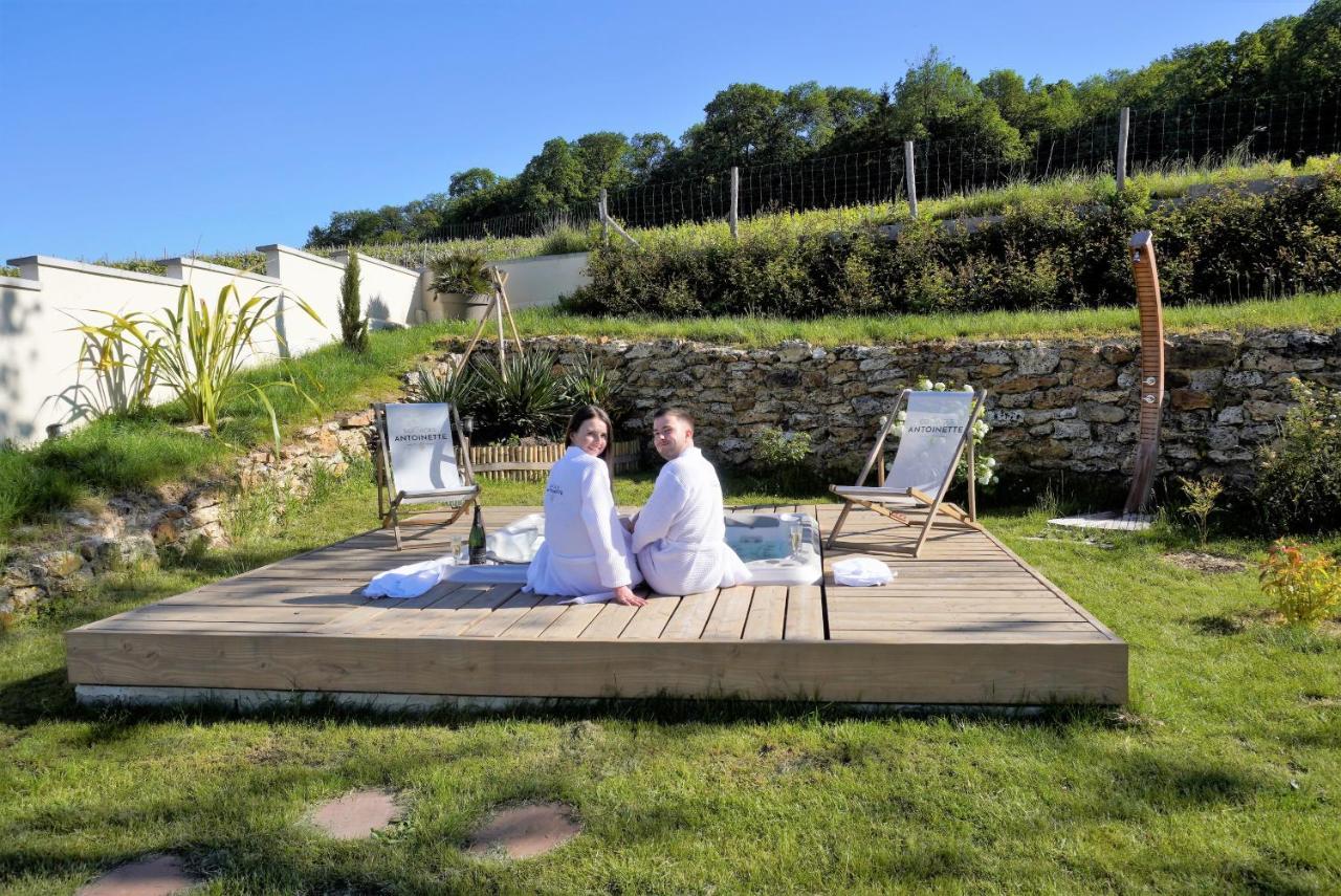 Cottages Antoinette Chigny-les-Roses Esterno foto