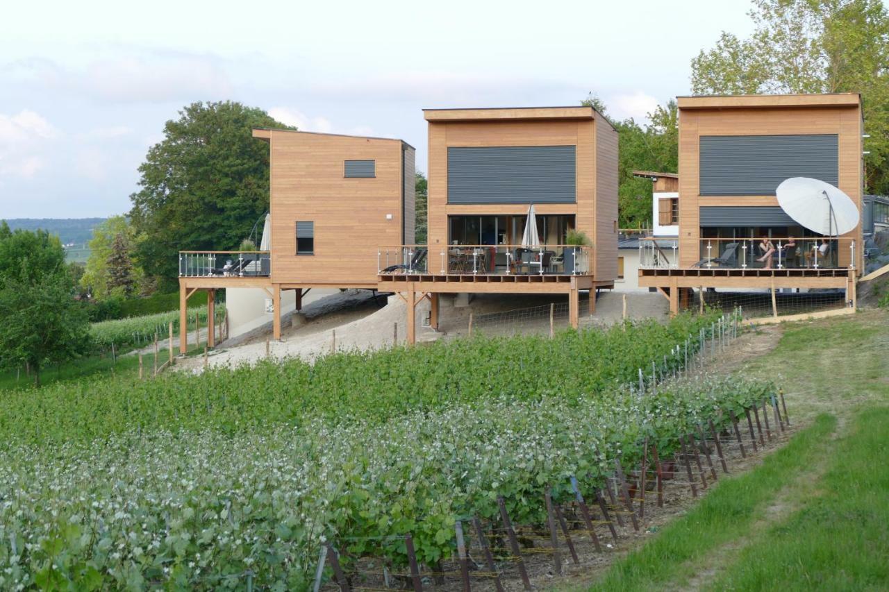 Cottages Antoinette Chigny-les-Roses Esterno foto