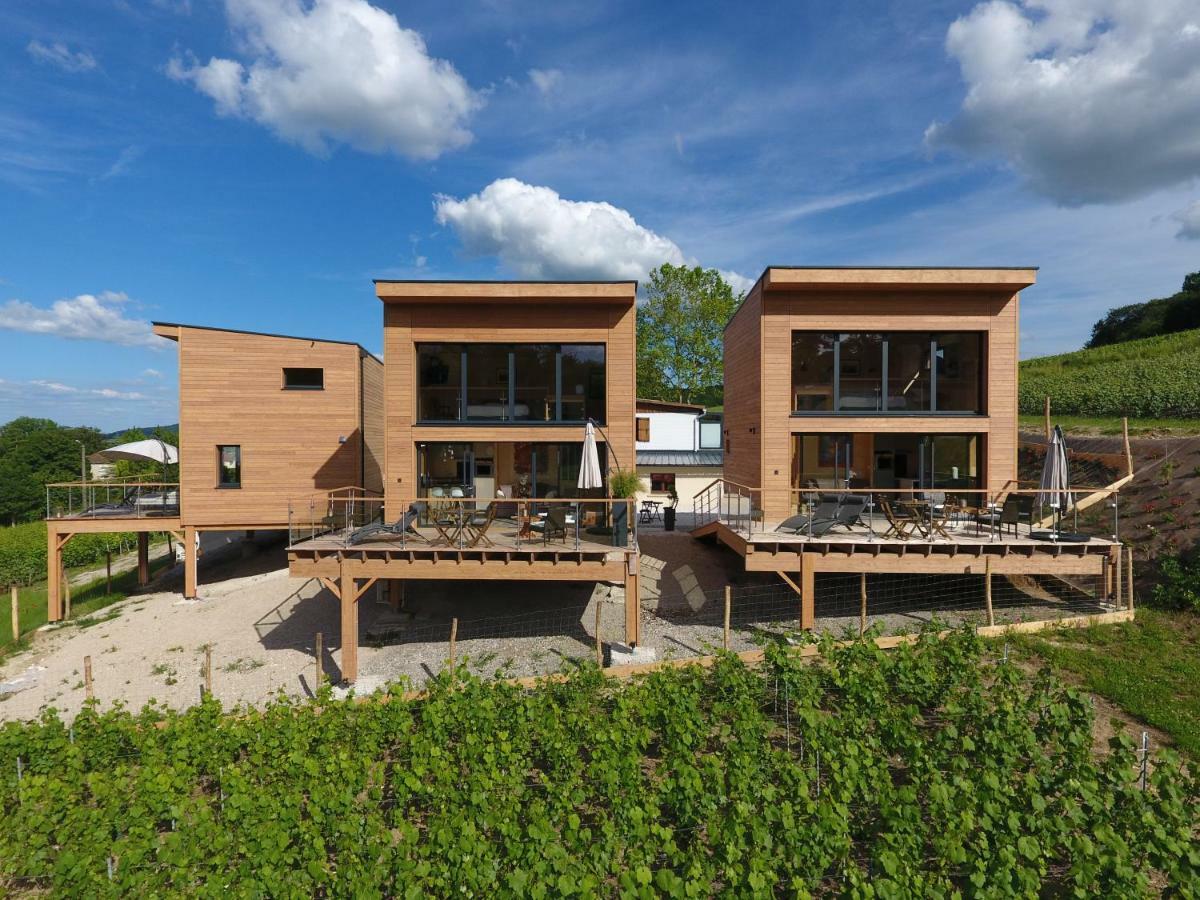 Cottages Antoinette Chigny-les-Roses Esterno foto